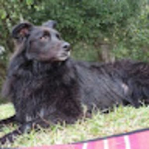 Meet your Posher, Romney